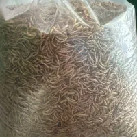 میلورم خشک درجه یک