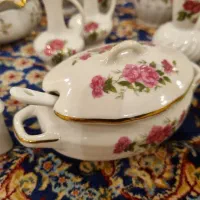کلکسیونی گل سرخی ژاپنی