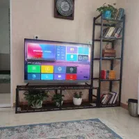 رگال و شلف، میزtv