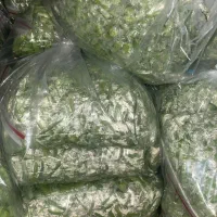 پخش عمده ذرت و باقالی|خوردنی و آشامیدنی|تهران, سید خندان (جلفا)|دیوار