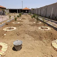 چمن کاری گل کاری حرص کار|خدمات باغبانی و درختکاری|ارومیه, |دیوار