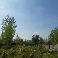 زمین298-متری-تونل-درختی-صفرابسته-جاده-کیاشهر
