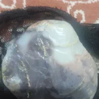 بفروش میرود