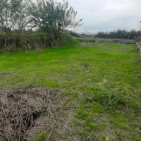 فروش ملک باغی زیرقیمت|فروش زمین و ملک کلنگی|آمل, |دیوار