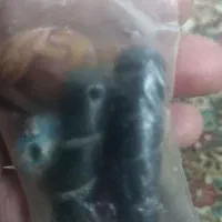 انگشتر|کلکسیون اشیاء عتیقه|زاهدان, |دیوار