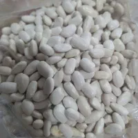 لوبیاسفید۳۲۰وچیتی۴۲۰