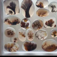 سنگ شجر|کلکسیون اشیاء عتیقه|رباط‌کریم, نصیرشهر|دیوار