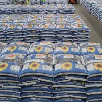 تخمه خام و بوداده چینی|خوردنی و آشامیدنی|خمینی‌شهر, |دیوار