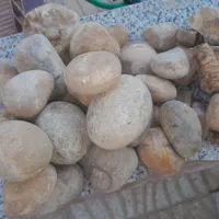 فروش سنگ زینتی وجواهری|جواهرات|کرمان, |دیوار