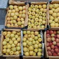 سیب قرمز وسفید|خوردنی و آشامیدنی|تخت سلیمان, |دیوار