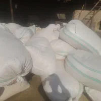 کاه دیم نرم ودرجه یک دیم زنجان