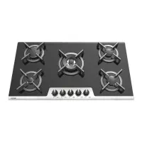 تعمیرات انواع اجاق گاز های صفحه ای