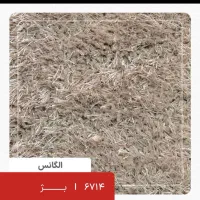 موکت الگانس شاگی ظریف مدرن ۱۰۱۰|موکت|قم, شاه ابراهیم|دیوار