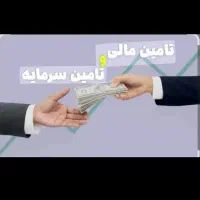 تامین سرمایه ازاد