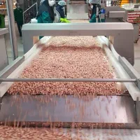 جذب نیروی جوان با انگیزه