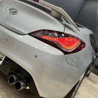 پولیش و واکس ،دودی