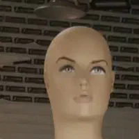دوعدد مانکن زنانه صیح سالم