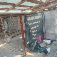 جف کفترکله س