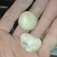 فروش سنگ|جواهرات|رزن, |دیوار