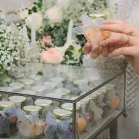 عکاسی مراسم و آتلیه و فضای سبز|خدمات پذیرایی، مراسم|تهران, جی|دیوار