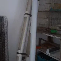 دانخوری،دان مرغ،برنج،کنسانتره،پوست تخم مرغ