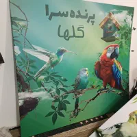 انواع پرنده های زینتی