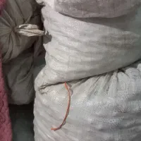 گردو ایرانی محلی منطقه فیروزکوه زرین دشت