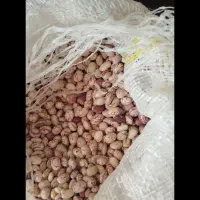 لوبیا چیتی