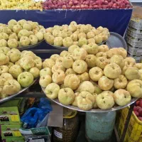 کار در میوه فروشی