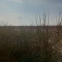 نظافت منزل