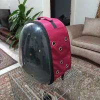 کیف حمل حیوانات|لوازم جانبی حیوانات|کرج, برغان|دیوار