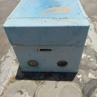 کندو زنبور و پوکه زنبورعسل