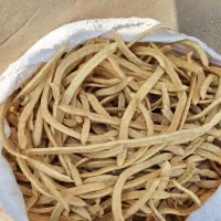 خوراک دام ( بذر درخت بی عار)
