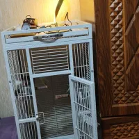 لوازم جانبی حیوانات قفس