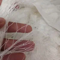 تورماهیگیری‌استفاده‌نشده