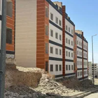 واحد(۹۱)درصد،سه جانبه وپنج برگی دار