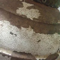 جویای کار در منزل خودمم خیلی احتیاج هستیم