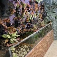 آکواریوم پالوداریوم