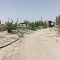 مشارکت در مزرعه پرورش ماهی ومجموعه گردشگری|مشارکت در ساخت املاک|زابل, |دیوار