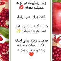شیدینگ لب