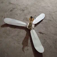 پنکه سقفی