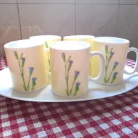 لیوان ارکوپال لومیناک ویتا