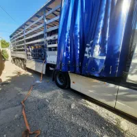 ایزوگام|خدمات پیشه و مهارت|جیرفت, |دیوار