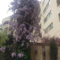 ۱۳۰متر دو خواب طبقات بالا میرداماد