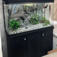 آکواریوم شرکتی نو با پایه