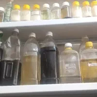 روغن های گیاهی باپرس سرد