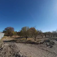 دوقطعه زمین و باغ در دهنو (معاوضه با ماشین)|فروش زمین و ملک کلنگی|پاریز, |دیوار