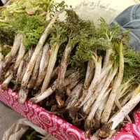 گیاهان دارویی|خوردنی و آشامیدنی|تکاب, |دیوار