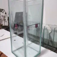 آکواریوم|ماهی|لنگرود, |دیوار