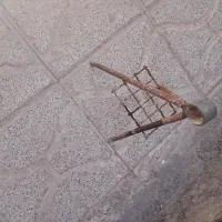 چهار شاخ برای کارهای کشاورزی قیمت ۳۰۰|گل و گیاه طبیعی|تربت جام, معدآباد|دیوار